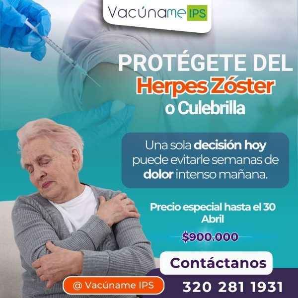 WhatsApp Image 2026-04-08 at 12.09.29 PM